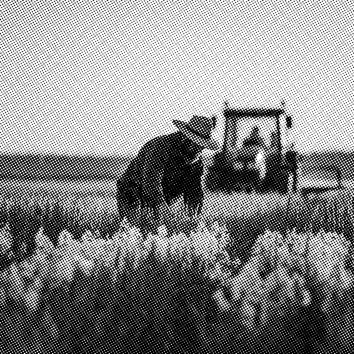 Agriculteur dans un champ