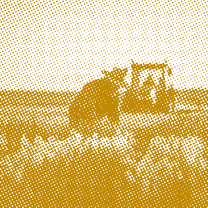 Agriculteur dans un champ en agriculture biologique trame épaisse