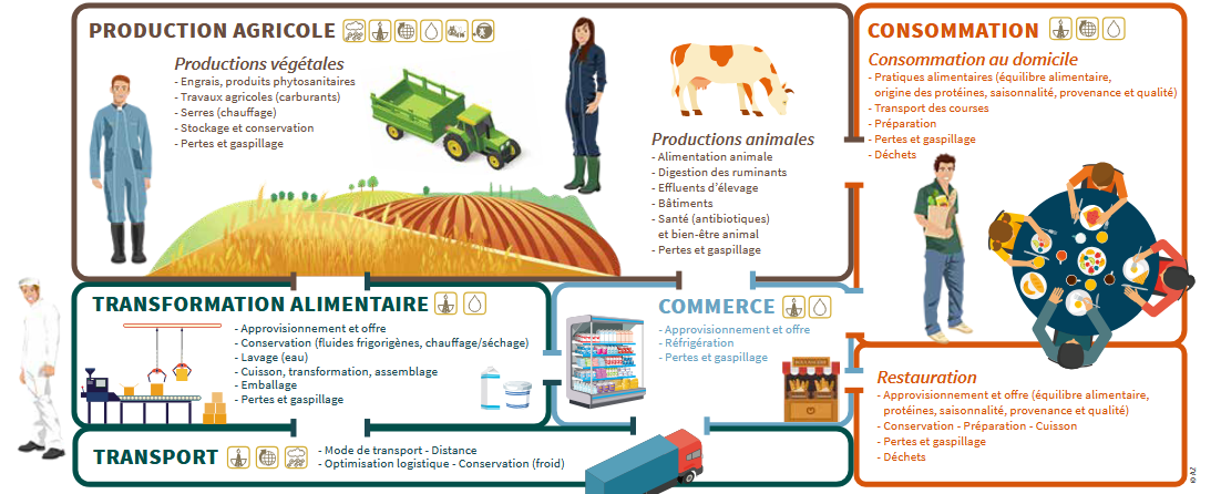 ADEME - Secteurs liés à l'alimentation