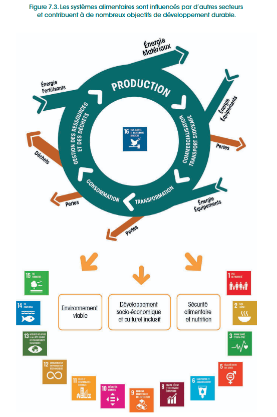 Une écologie de l'alimentation - Systèmes alimentaires et autres secteurs